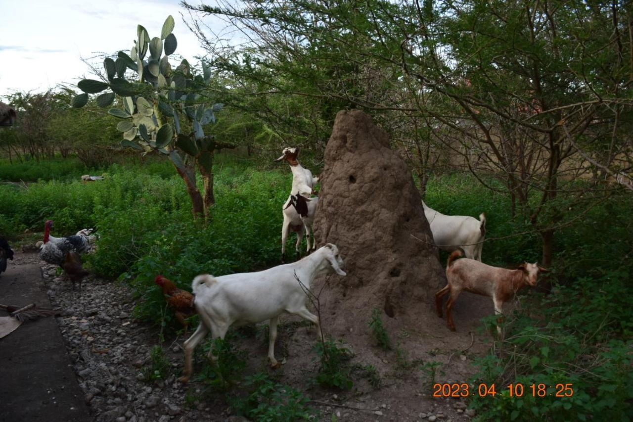 Mwi Village House Mto wa Mbu Extérieur photo